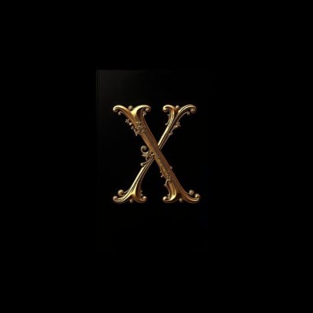 Black notebook cover with a fancy gold capital letter X