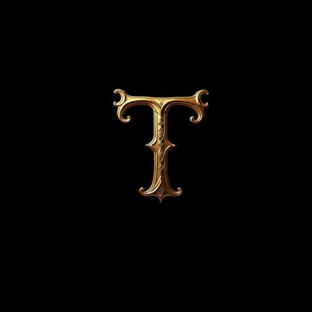 Black notebook cover with a fancy gold capital letter T