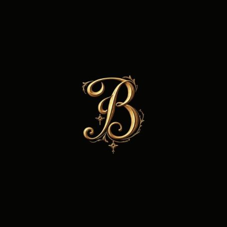 Black notebook cover with a fancy gold capital letter B